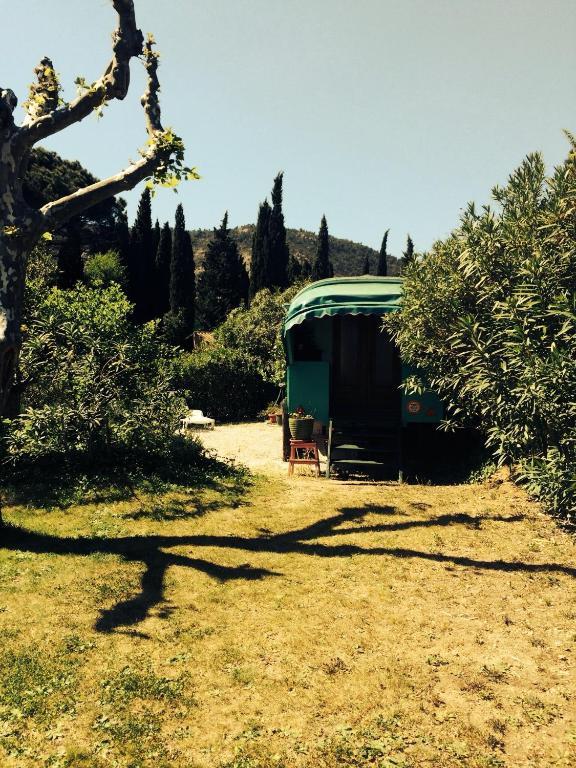 Le Plan-de-la-Tour L'Amandari - Chambres D'Hotes חדר תמונה
